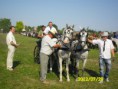 /album/apak-napi-fogathajto-verseny-2009-2013/a65008-103304073174720-690329237-n-jpg/
